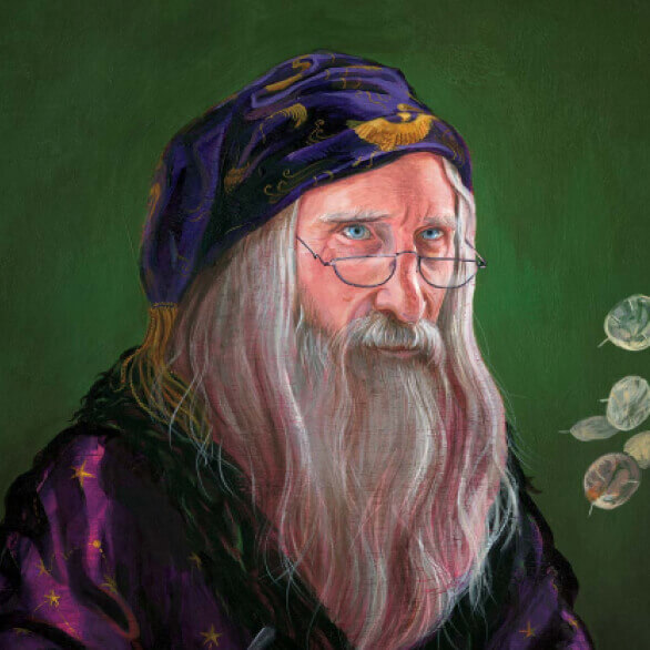 professor dumbledore