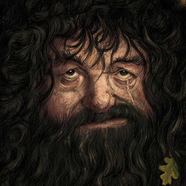 rubeus hagrid